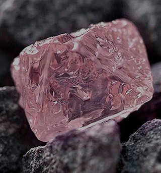 عنوان مورد نظر در این قسمت