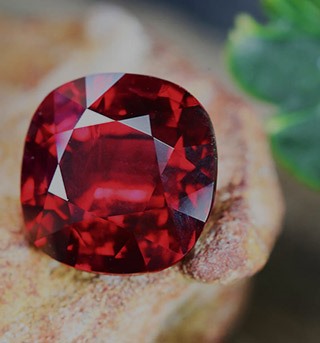 عنوان مورد نظر در این قسمت